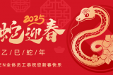 辭舊迎新，蛇舞華章丨深圳容金科技全體員工祝您新春快樂(lè )！